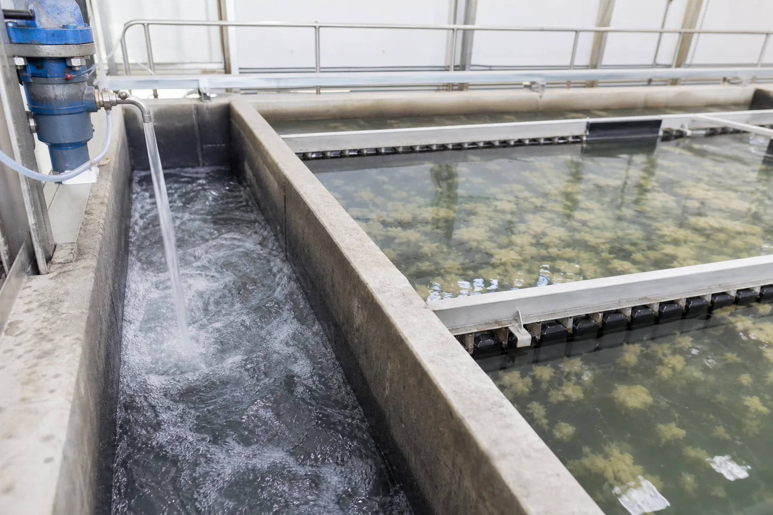 Chemical dosing into a rapid-mix chamber beside a slow flocculation basin with visible floc